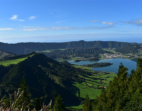 letonya görseli